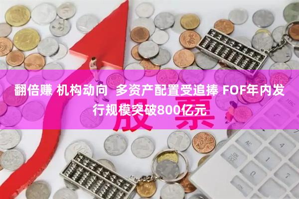 翻倍赚 机构动向  多资产配置受追捧 FOF年内发行规模突破800亿元